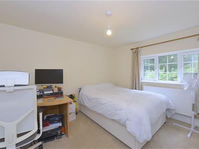 Picture 23